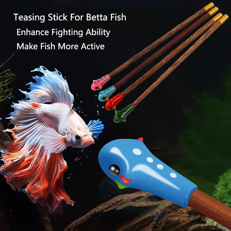 Aquarium Fish For Beginners - Aquarium Betta Training Wand Wooden Playing