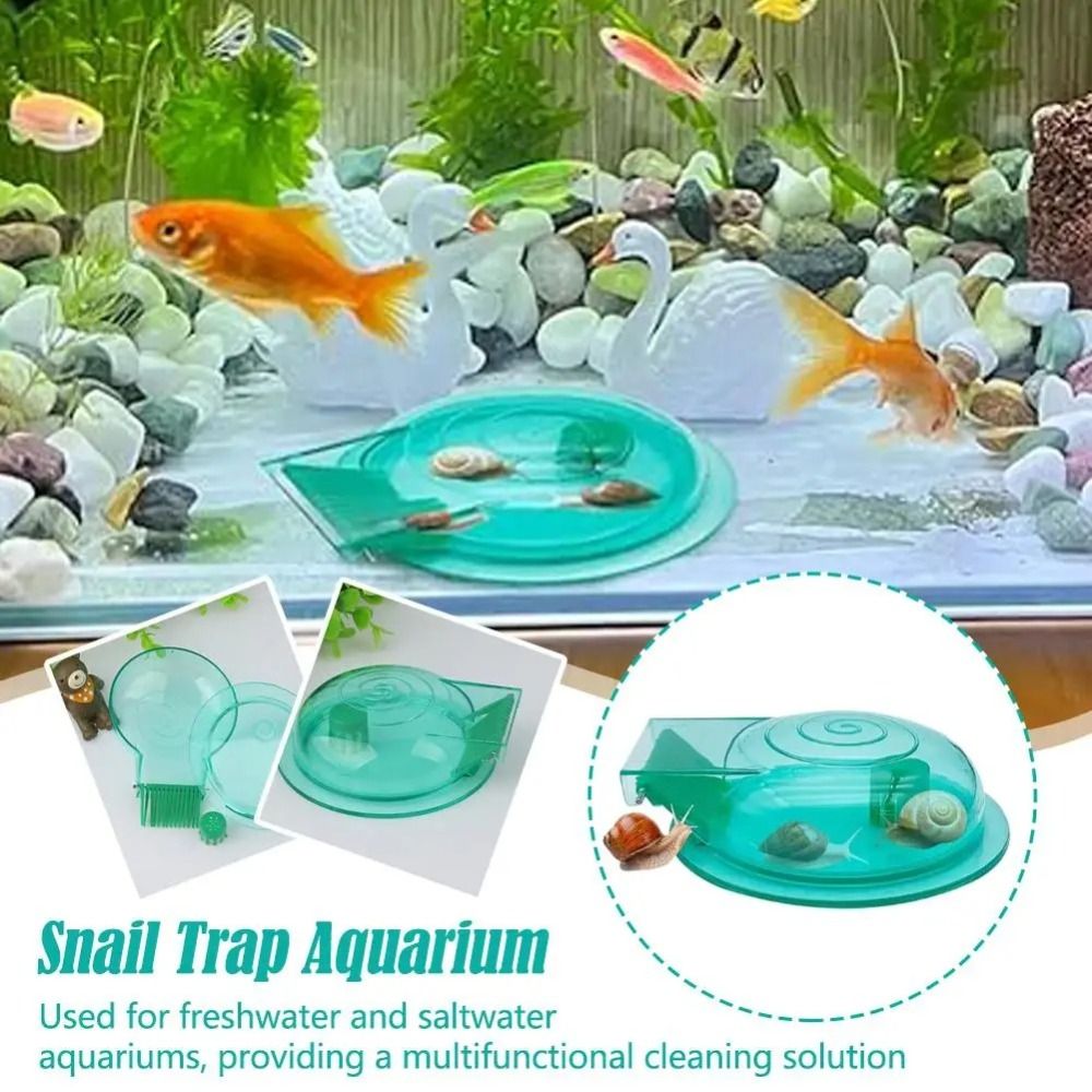 Aquarium Fish Eggs - Freshwater Saltwater Aquarium Snail Trap Effective