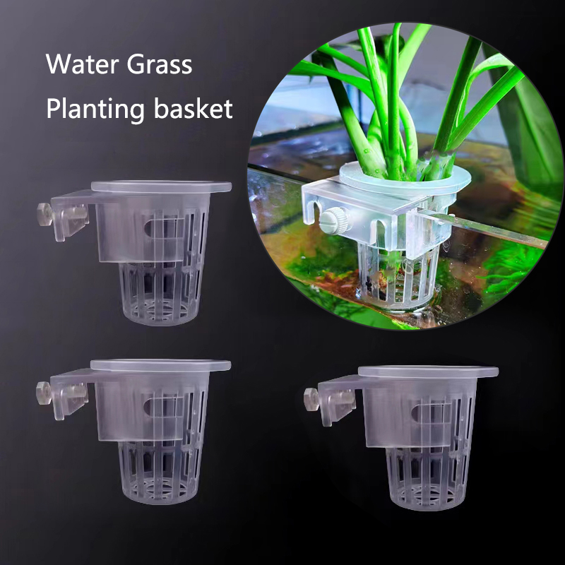 Aquarium Fish For Beginners - Aquarium Planting Basket Hydroponic Support Hangable