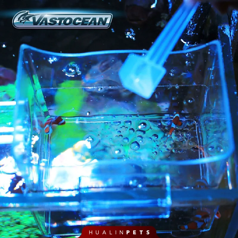 Vastocean Aquarium Multifuncti - đánh giá và giá Aquarium Fish Jar
