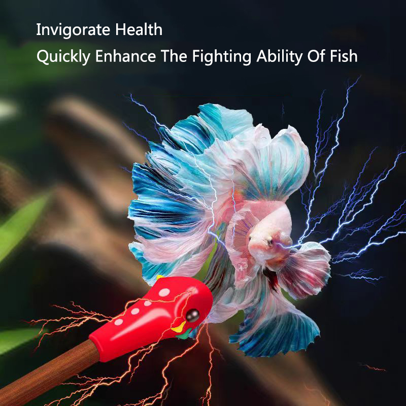 Aquarium Betta Training Wand W - đánh giá và giá Aquarium Fish For Beginners