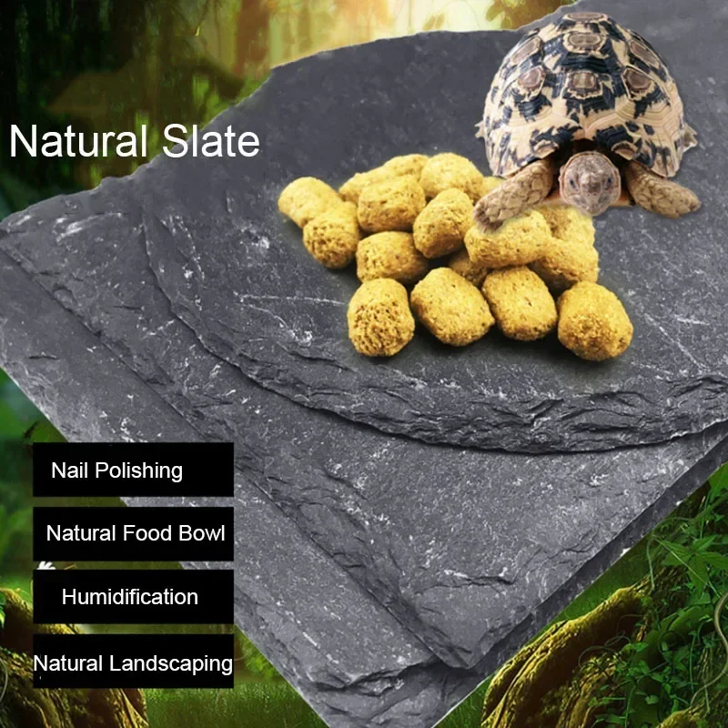 Natural Slate Aquarium Pet Rep - đánh giá và giá Aquarium Fish Jar