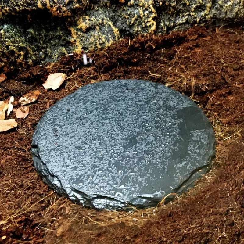 Natural Slate Aquarium Pet Rep - đánh giá và giá Aquarium Fish Jar
