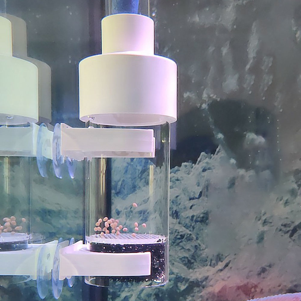 40mm Tumbler Incubator Fish Ha - đánh giá và giá Aquarium Fish Eggs