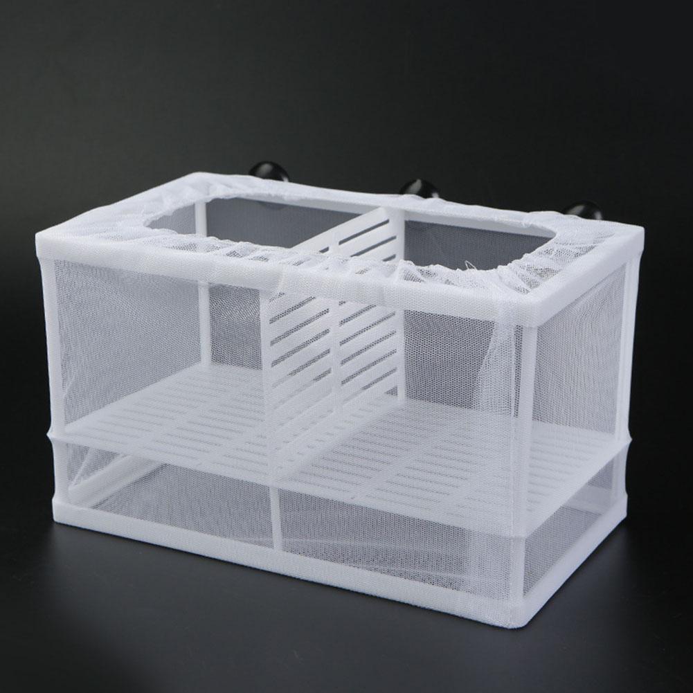Aquarium Fish Breeder Box with - đánh giá và giá Aquarium Fish Jar