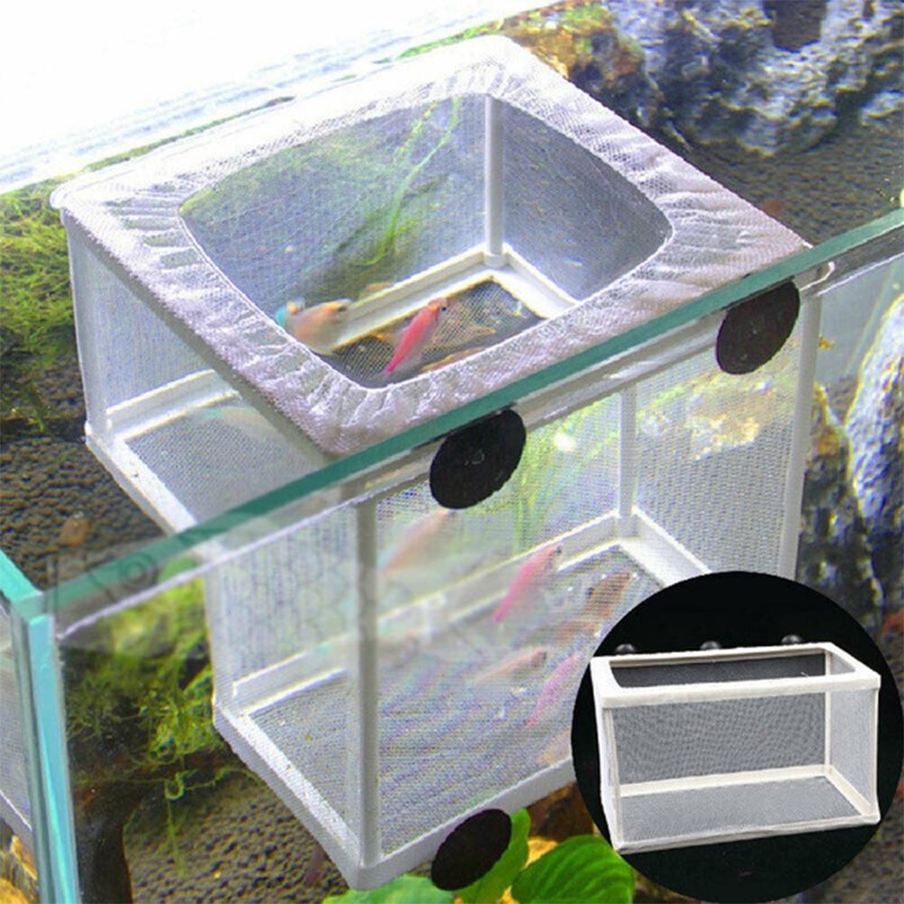 Aquarium Fish Breeder Box with - đánh giá và giá Aquarium Fish Jar