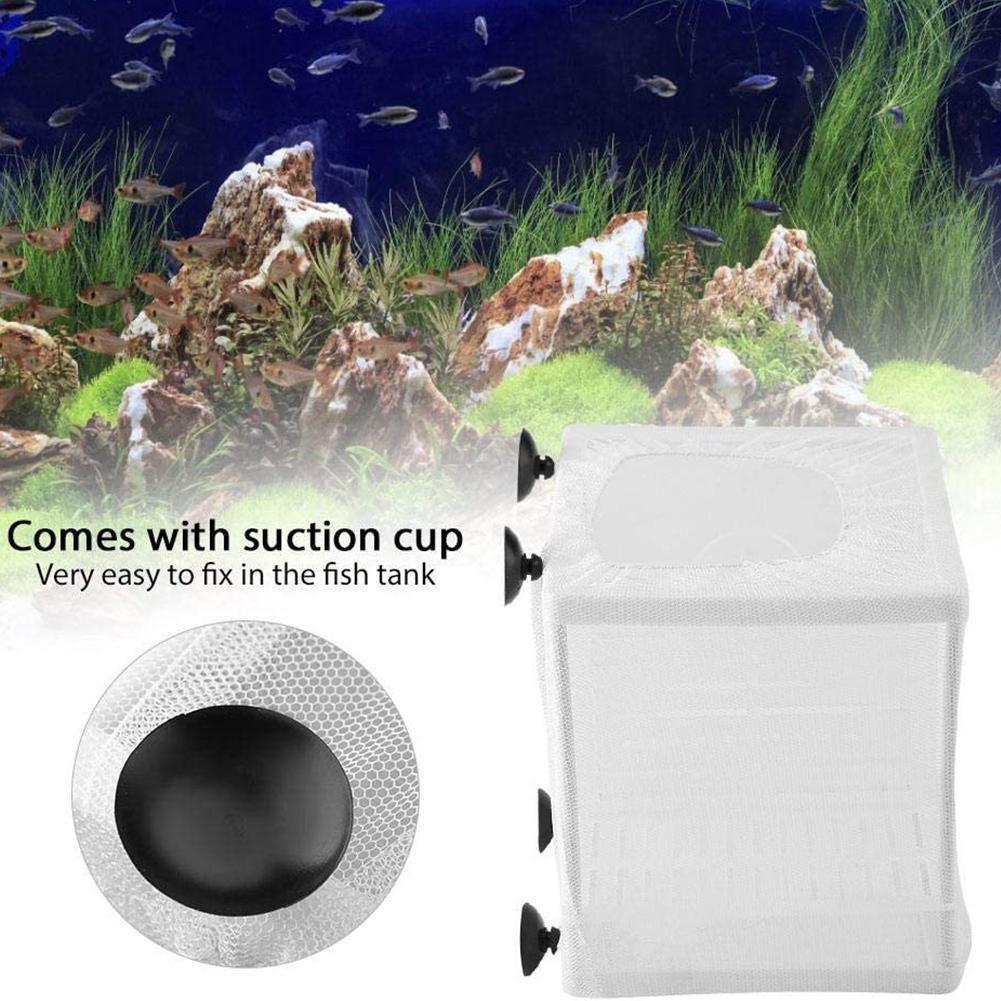 Aquarium Fish Breeder Box with - đánh giá và giá Aquarium Fish Jar