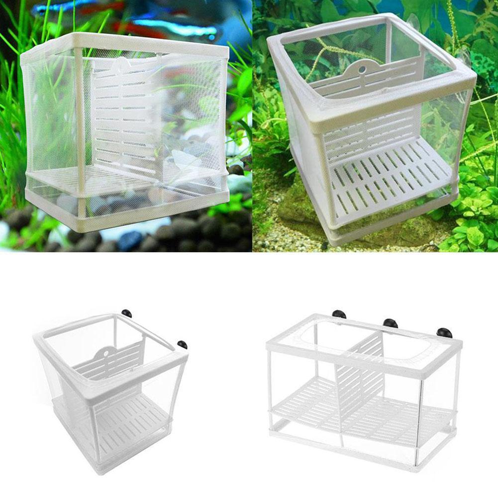 Aquarium Fish Breeder Box with - đánh giá và giá Aquarium Fish Jar