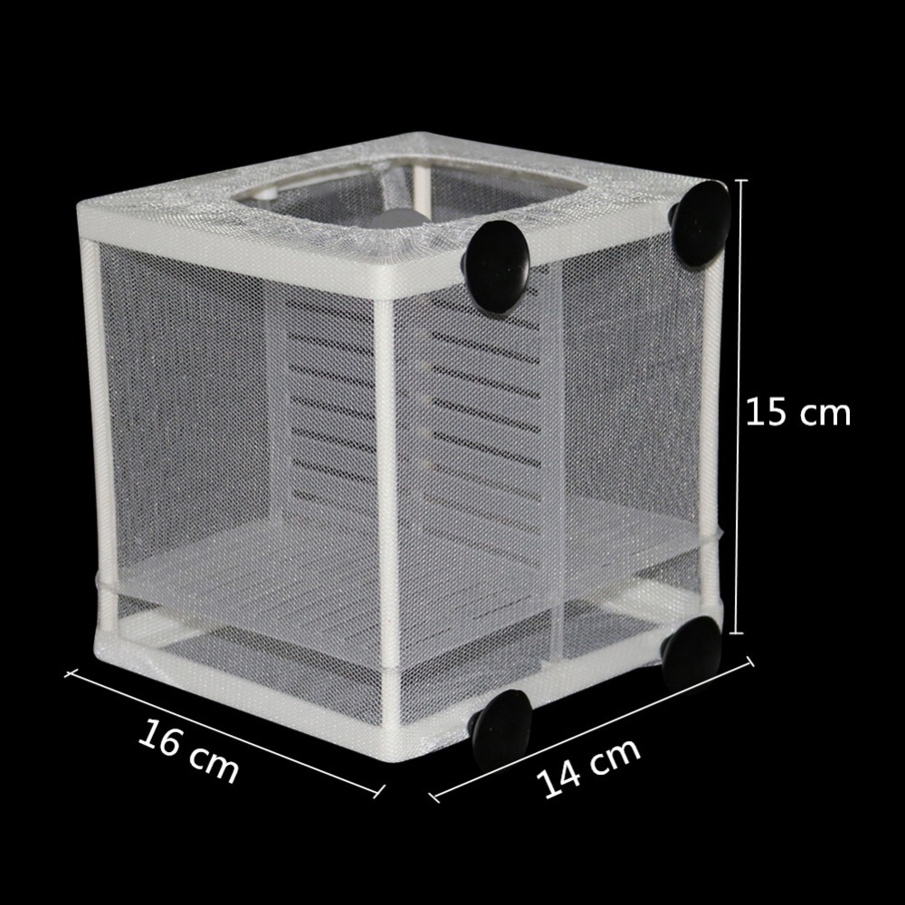 1 Cái Cá Sinh Sản Lồng Ấp Lưới - đánh giá và giá Aquarium Fish Jar