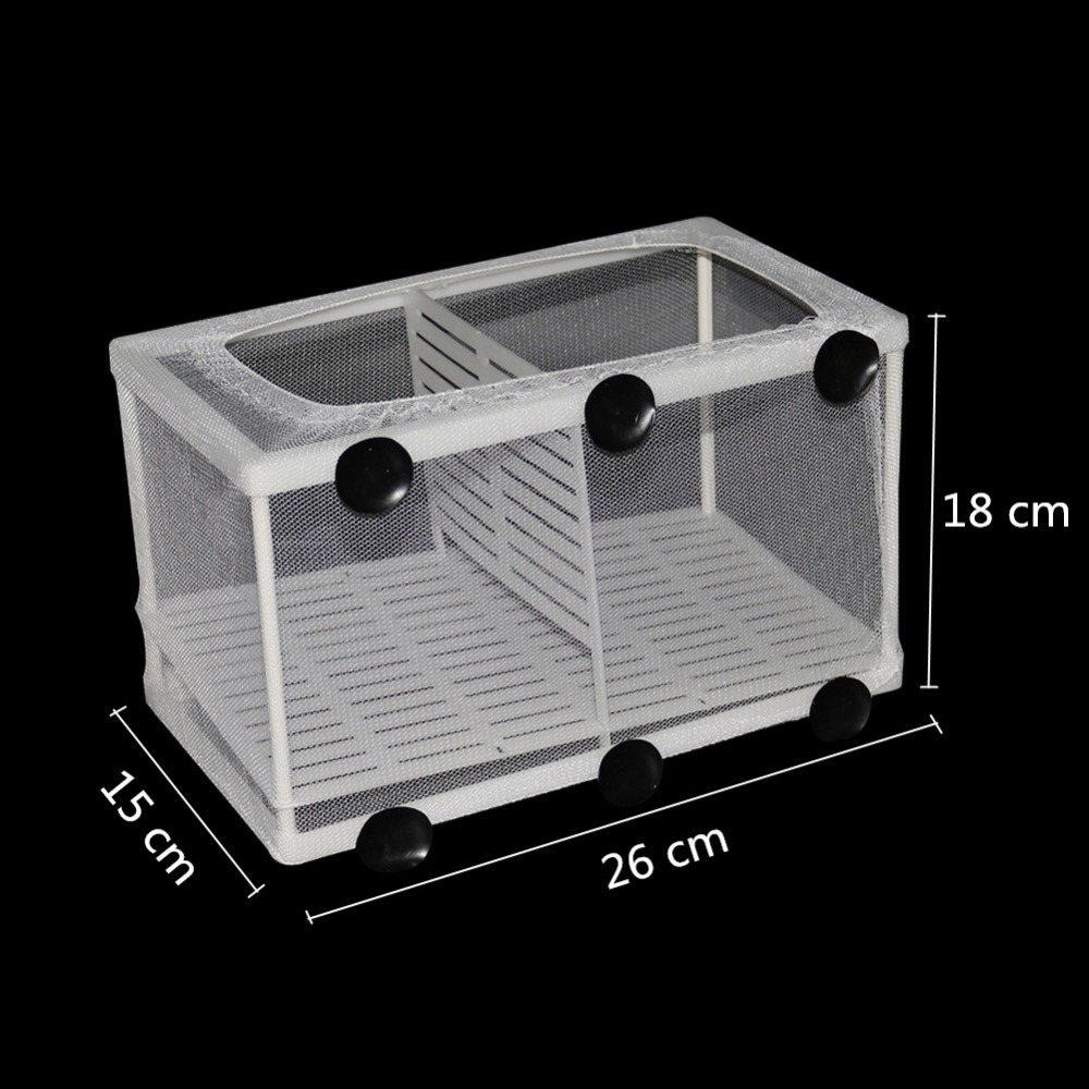 1 Cái Cá Sinh Sản Lồng Ấp Lưới - đánh giá và giá Aquarium Fish Jar
