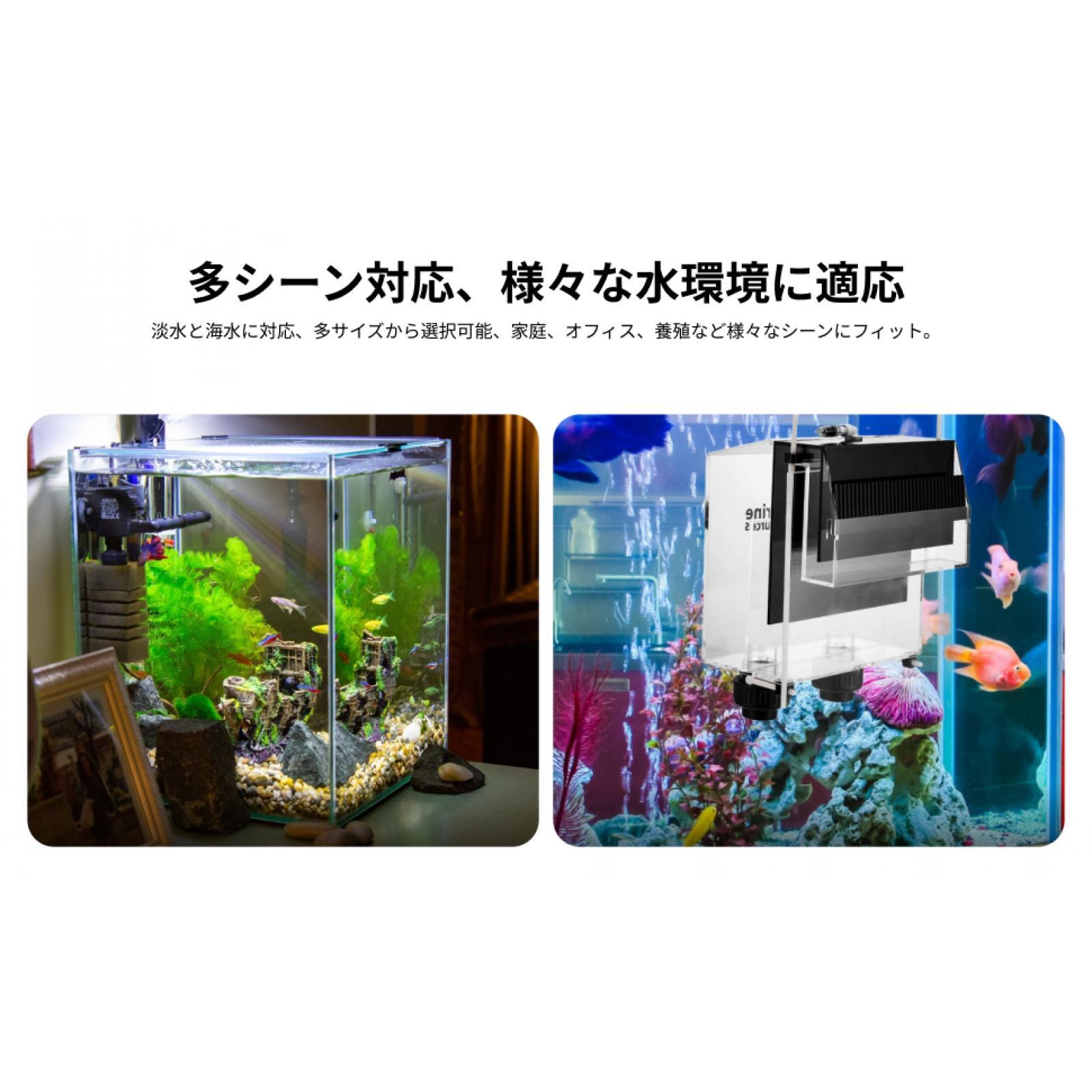Acrylic Overflow Box Aquarium  - đánh giá và giá Fish Aquarium Guide