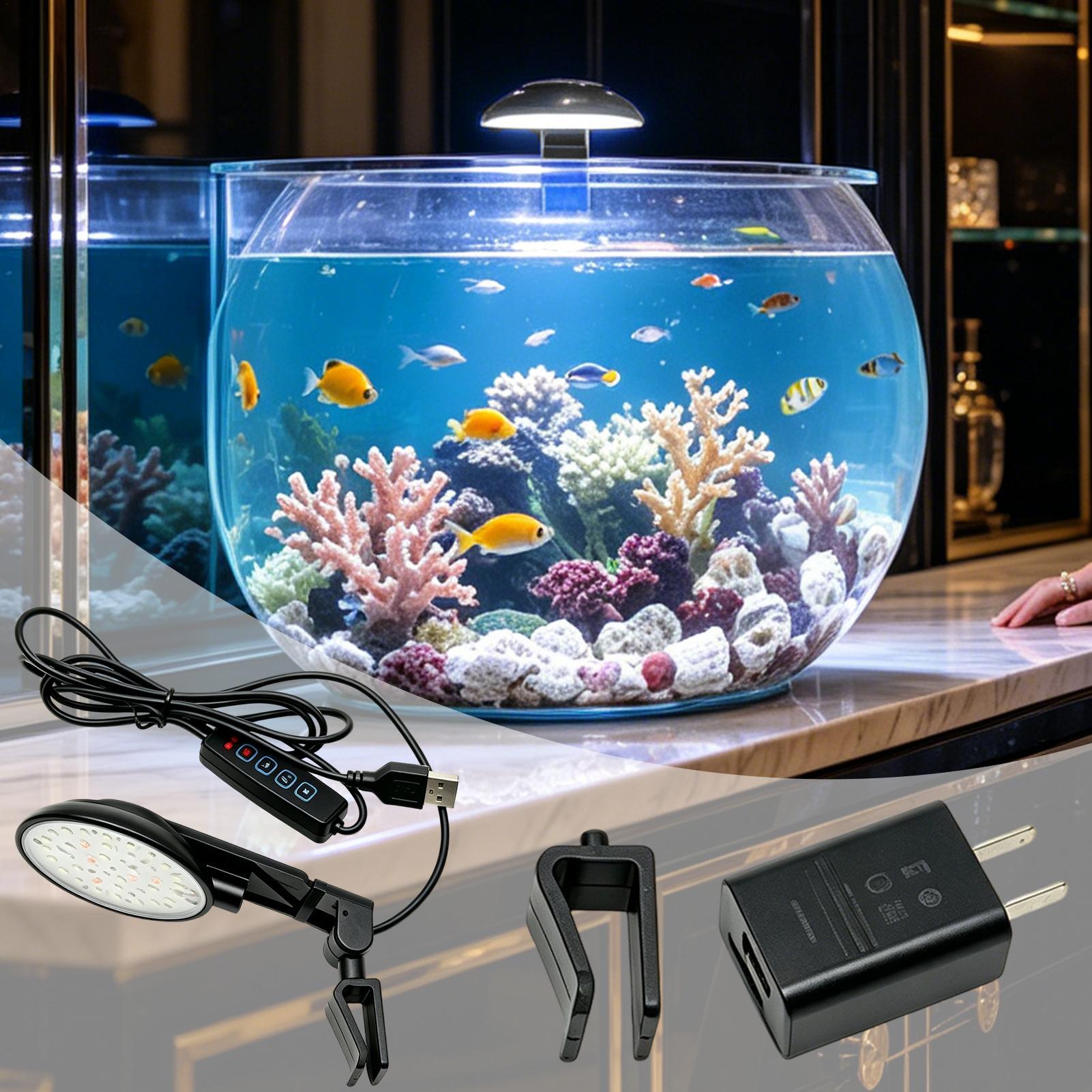 Aquarium Light Waterproof Clam - đánh giá và giá Aquarium Fish For Beginners