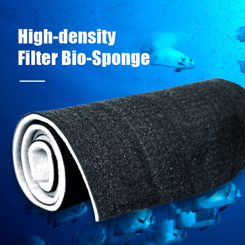 Than Hoạt Tính Cá Bông Lọc Sin - đánh giá và giá Aquarium Fish For Beginners