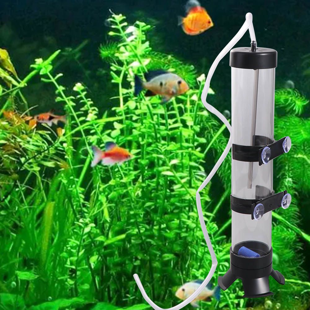 Plastic Artemia Eggs Incubator - đánh giá và giá Aquarium Fish Eggs