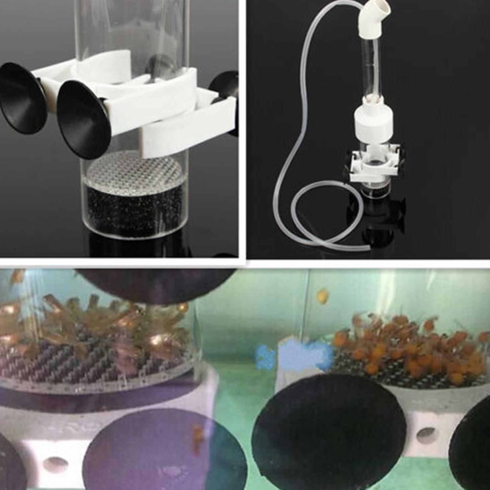 Egg Incubator Fish Acrylic Hat - đánh giá và giá Aquarium Fish Eggs