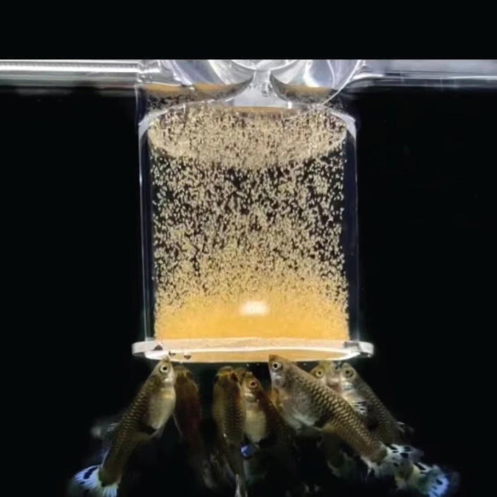 Acrylic Brine Shrimp Feeder Fi - đánh giá và giá Aquarium Fish Eggs
