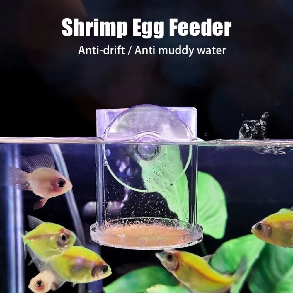 Acrylic Brine Shrimp Feeder Fi - đánh giá và giá Aquarium Fish Eggs
