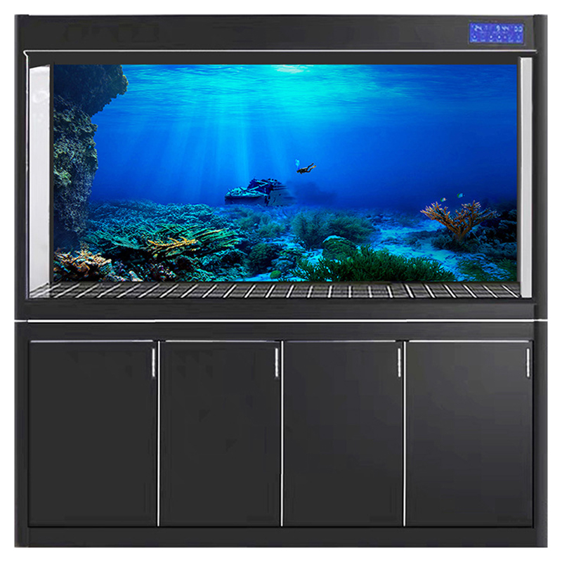 Fish Tank Background Decorativ - đánh giá và giá Aquarium Fish World