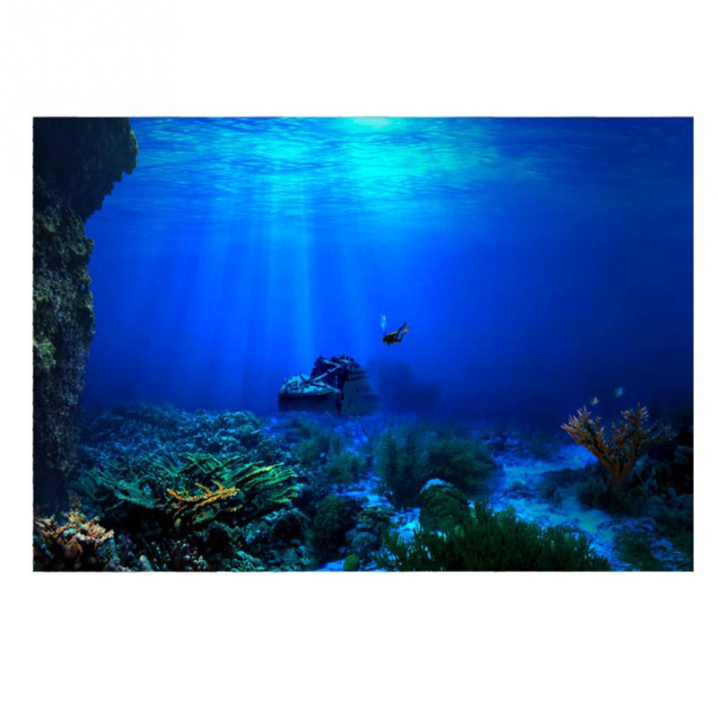 Fish Tank Background Decorativ - đánh giá và giá Aquarium Fish World