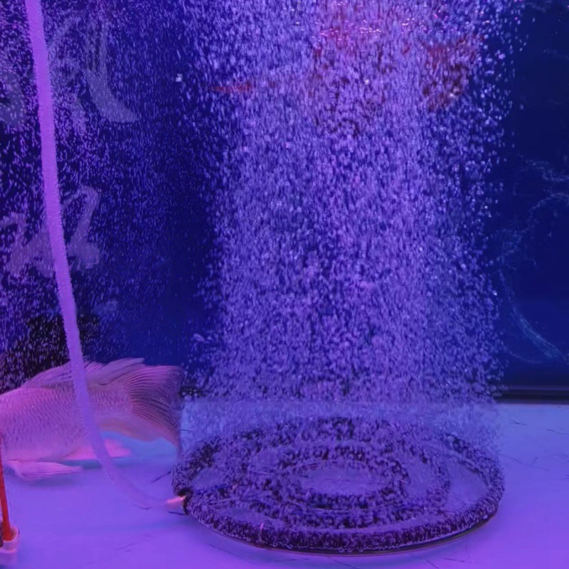 304 Stainless Steel Nano Oxyge - đánh giá và giá Aquarium Fish Koi