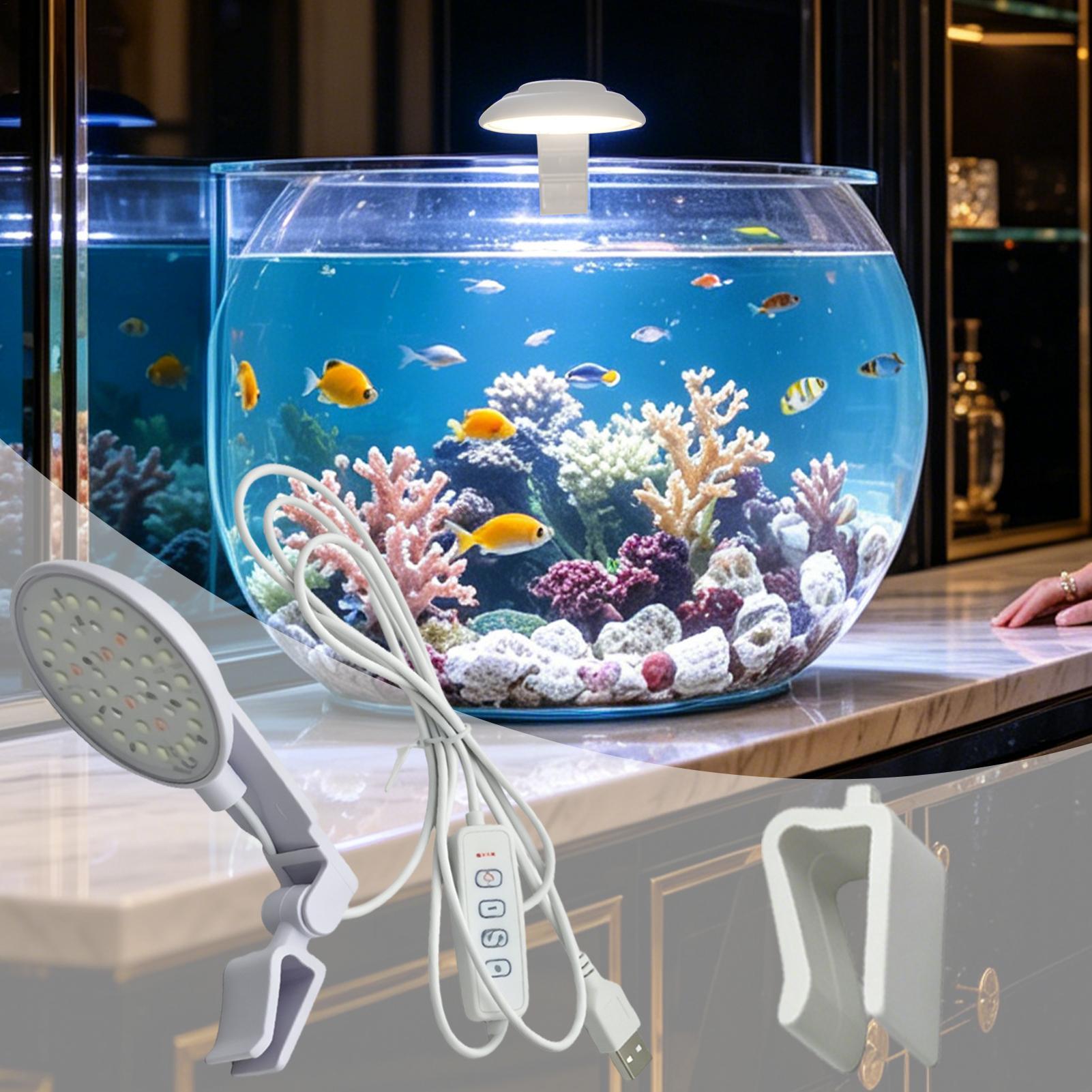 Aquarium Led Light Waterproof  - đánh giá và giá Aquarium Fish For Beginners