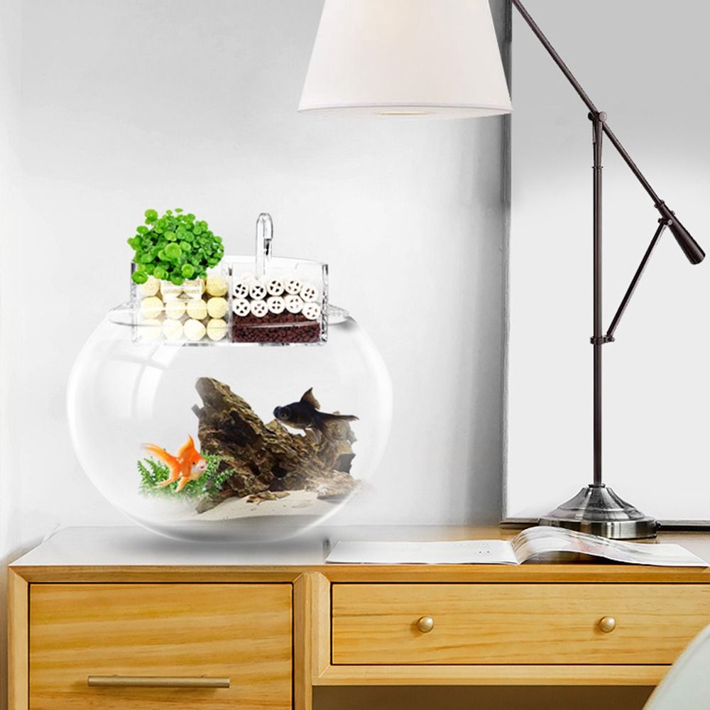 3-in-1 External Filter Box Han - đánh giá và giá Aquarium Fish Jar