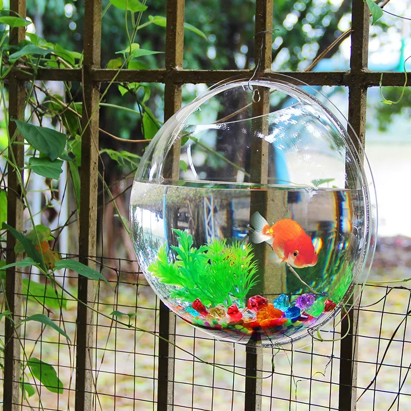 Pinsjar Acrylic Cá Bát Treo Tư - đánh giá và giá Aquarium Fish Jar