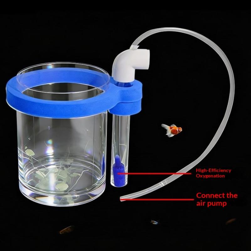 Transparent Acrylic Fish Breed - đánh giá và giá Aquarium Fish Jar