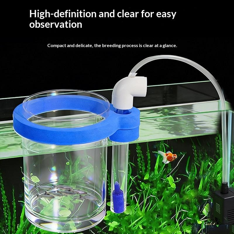 Transparent Acrylic Fish Breed - đánh giá và giá Aquarium Fish Jar