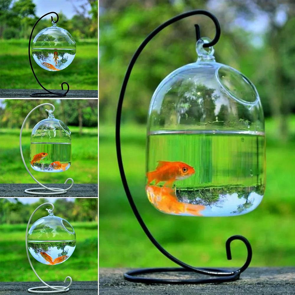 Aquarium Decoration Wall Hangi - đánh giá và giá Aquarium Fish Jar