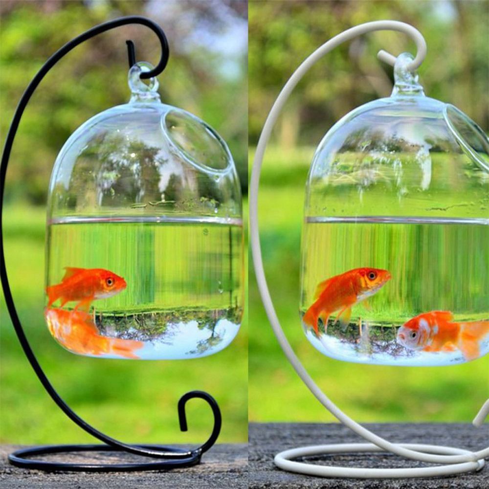 Aquarium Decoration Wall Hangi - đánh giá và giá Aquarium Fish Jar