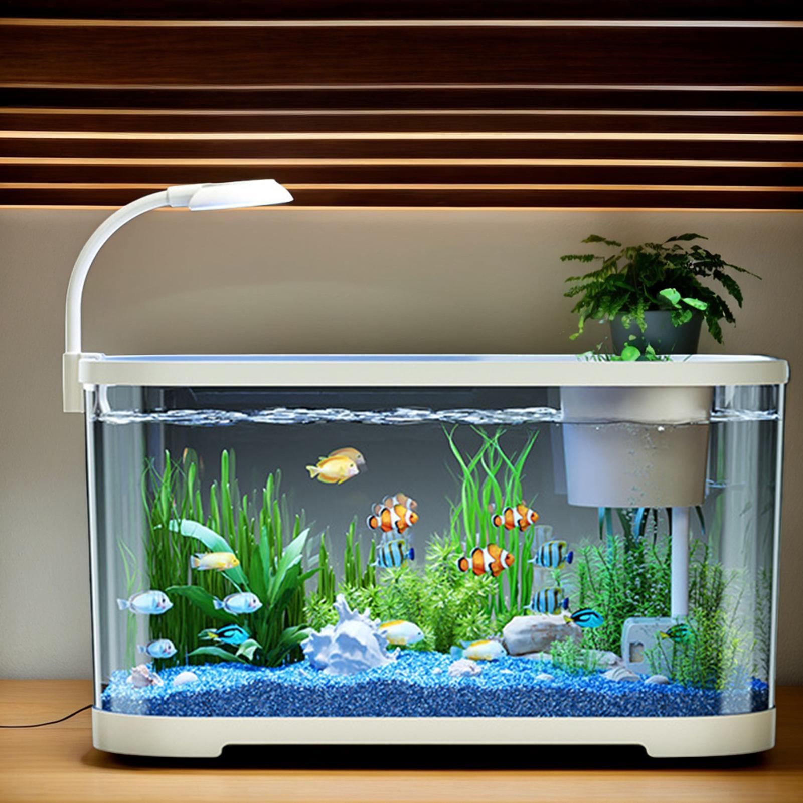 Aquarium Kit Starter Betta Fis - đánh giá và giá Aquarium Fish For Beginners