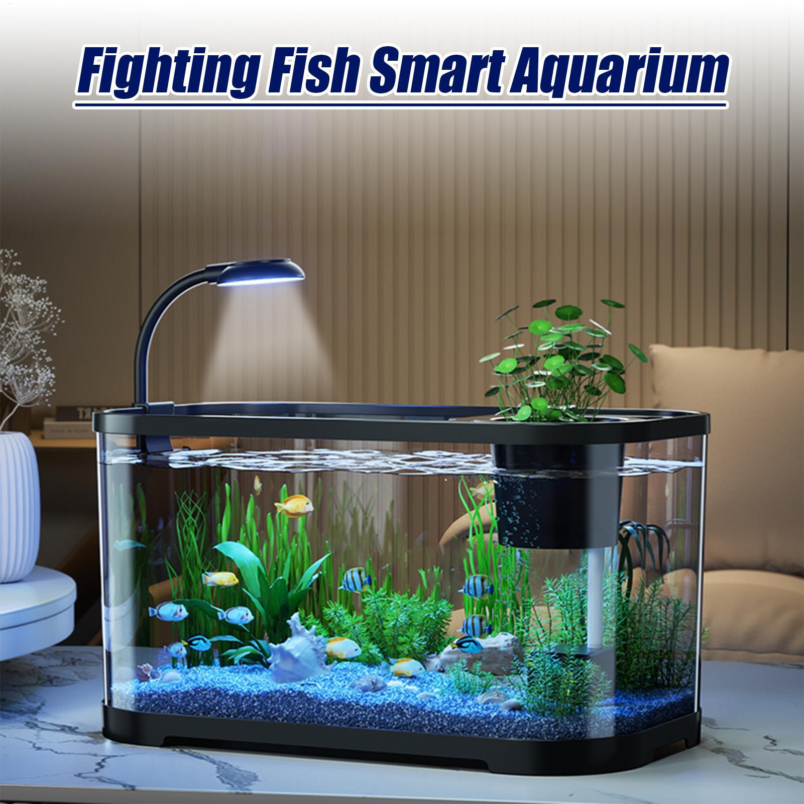 Aquarium Kit Starter Betta Fis - đánh giá và giá Aquarium Fish For Beginners