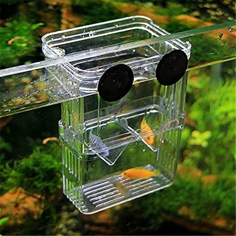 Multifunctional Fish Aquarium  - đánh giá và giá Aquarium Fish Jar