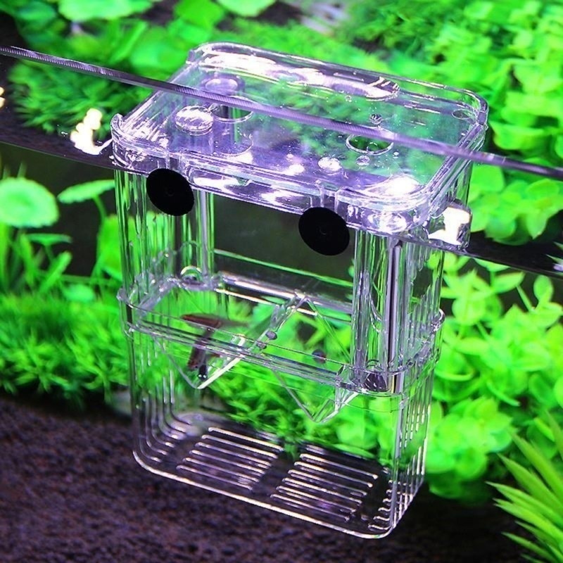 Multifunctional Fish Aquarium  - đánh giá và giá Aquarium Fish Jar