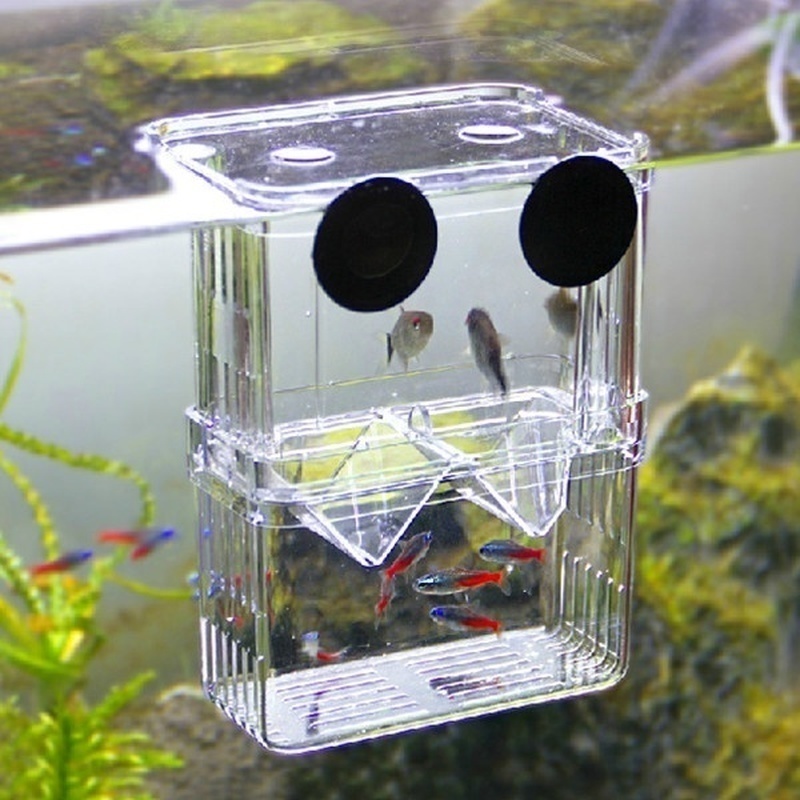 Multifunctional Fish Aquarium  - đánh giá và giá Aquarium Fish Jar
