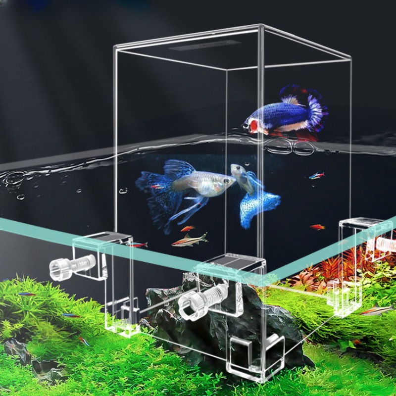Creative Aquarium Tanks Negati - đánh giá và giá Aquarium Fish Jar
