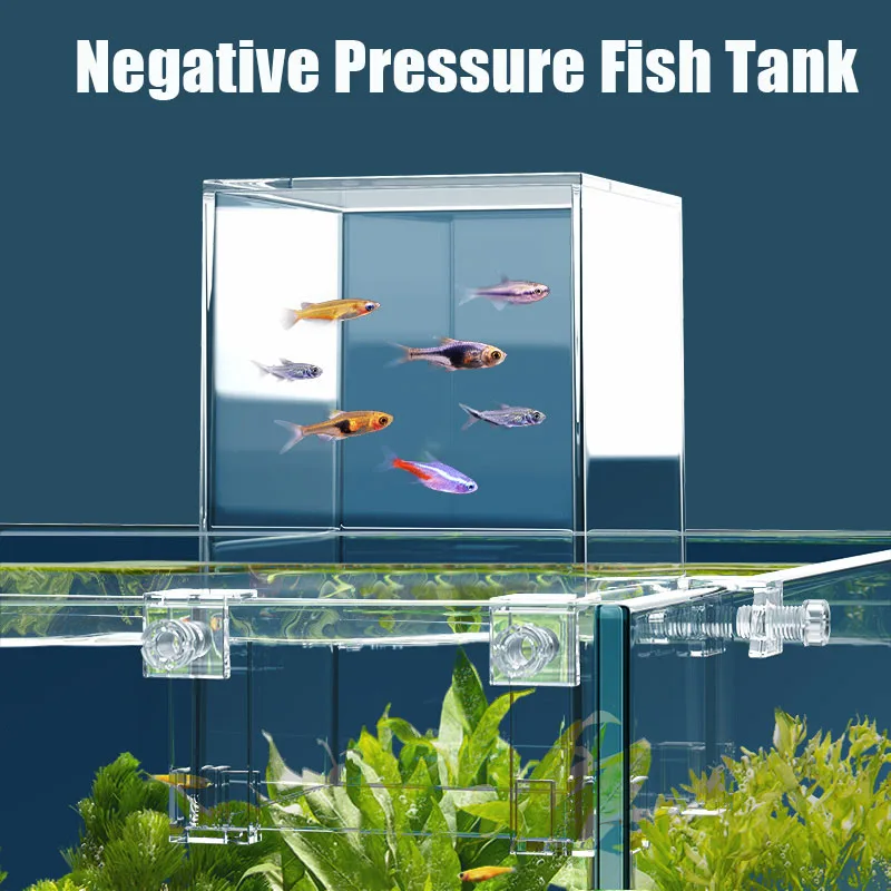 Creative Aquarium Tanks Negati - đánh giá và giá Aquarium Fish Jar