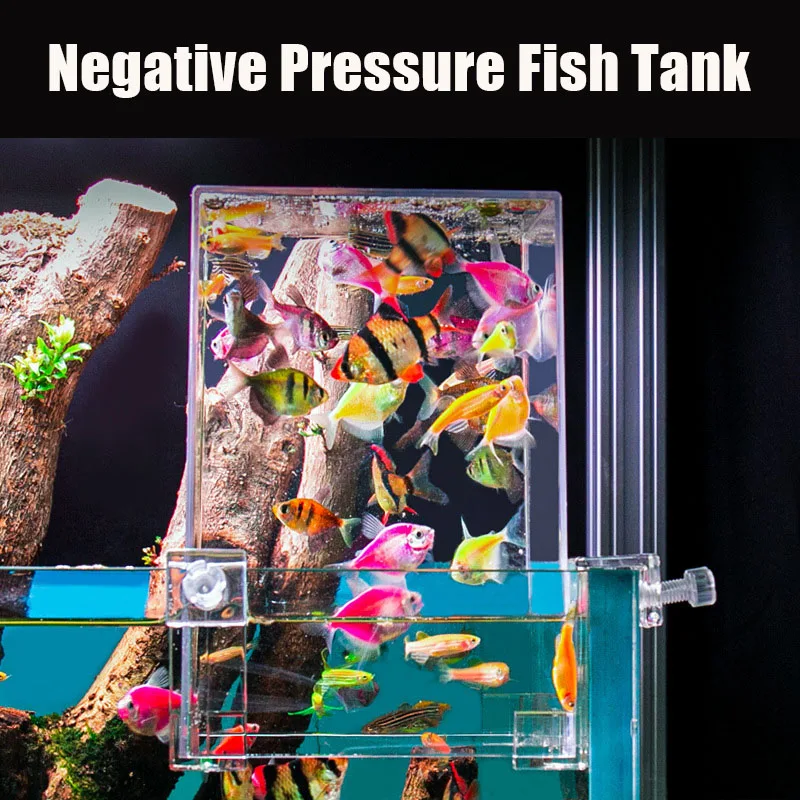 Creative Aquarium Tanks Negati - đánh giá và giá Aquarium Fish Jar