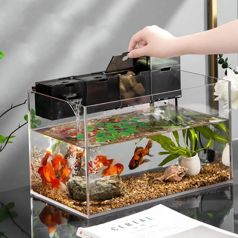 Three-in-one External Aquarium - đánh giá và giá Aquarium Fish Jar