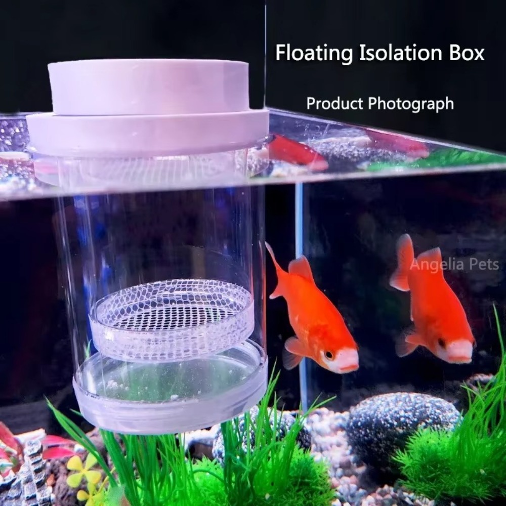 Plastic Floating Fish Breeding - đánh giá và giá Aquarium Fish Jar