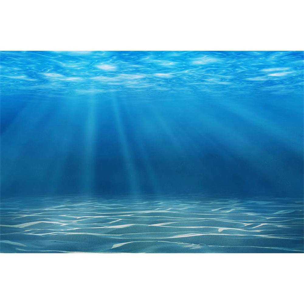Underwater World Seabed Photog - đánh giá và giá Aquarium Fish World