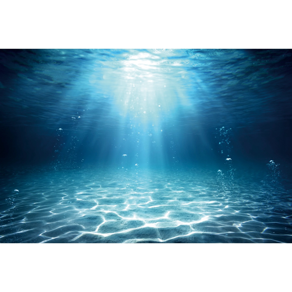 Underwater World Seabed Photog - đánh giá và giá Aquarium Fish World