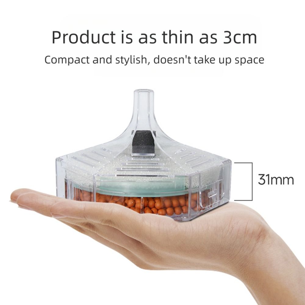 New Portable Aquarium Fish Tan - đánh giá và giá Aquarium Fish For Beginners