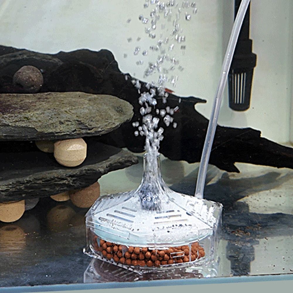 New Portable Aquarium Fish Tan - đánh giá và giá Aquarium Fish For Beginners