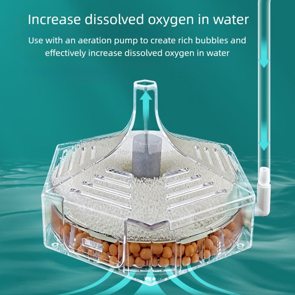 New Portable Aquarium Fish Tan - đánh giá và giá Aquarium Fish For Beginners