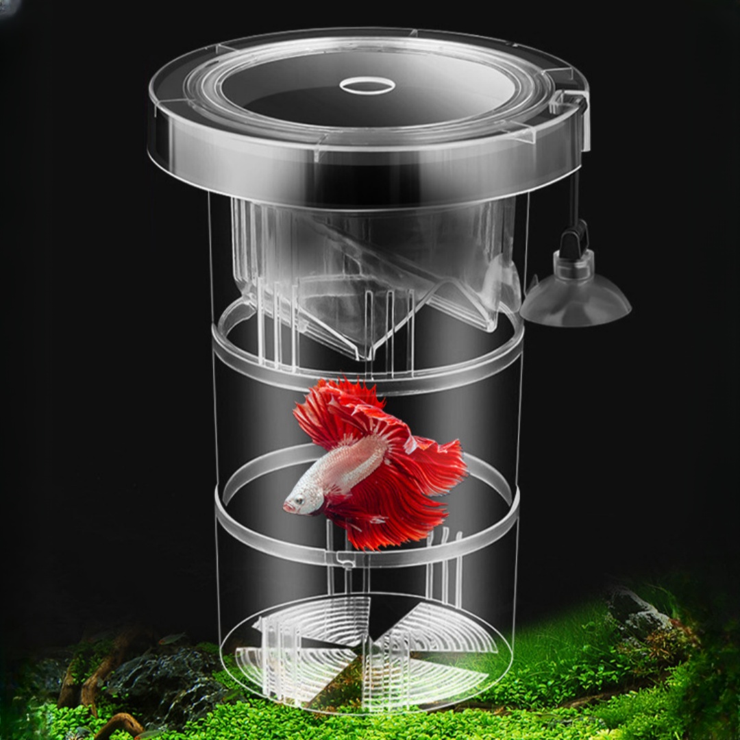 Acrylic Floating Fish Breeding - đánh giá và giá Aquarium Fish Jar