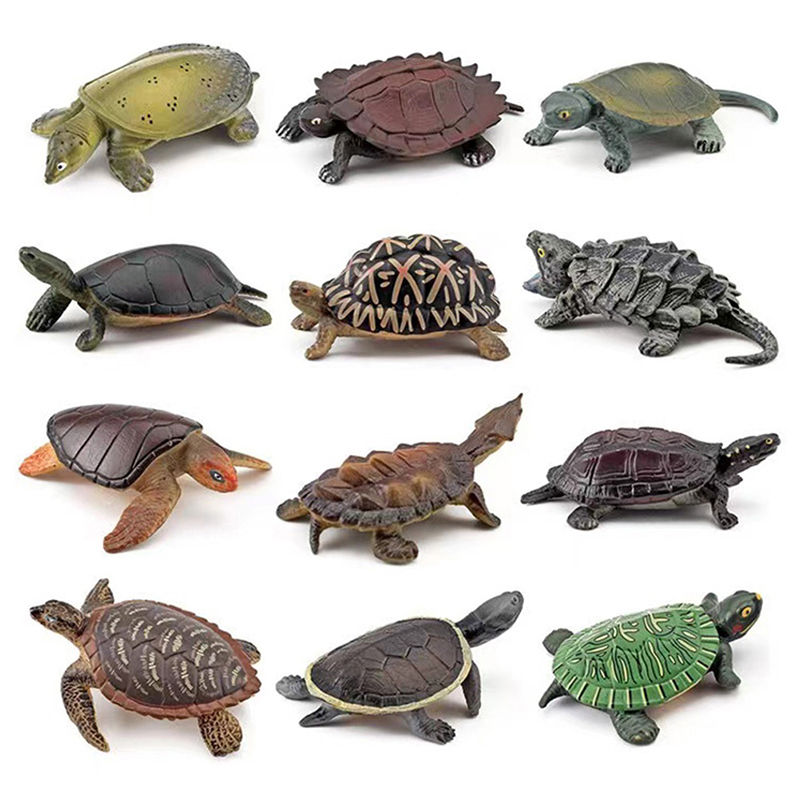 Realistic Turtle Action Figure - đánh giá và giá Aquarium Fish For Beginners