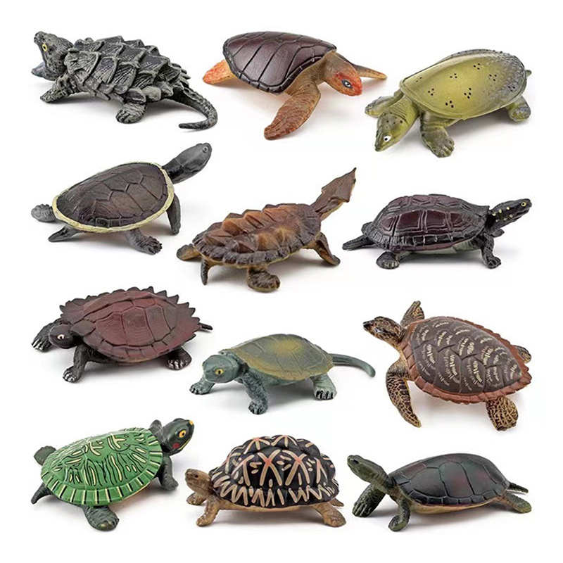 Realistic Turtle Action Figure - đánh giá và giá Aquarium Fish For Beginners