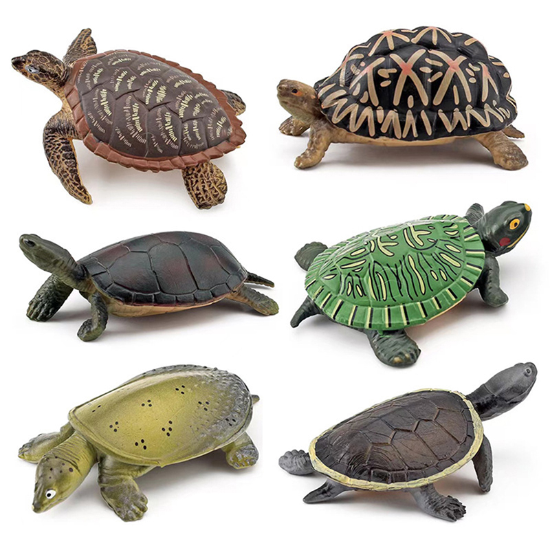 Realistic Turtle Action Figure - đánh giá và giá Aquarium Fish For Beginners